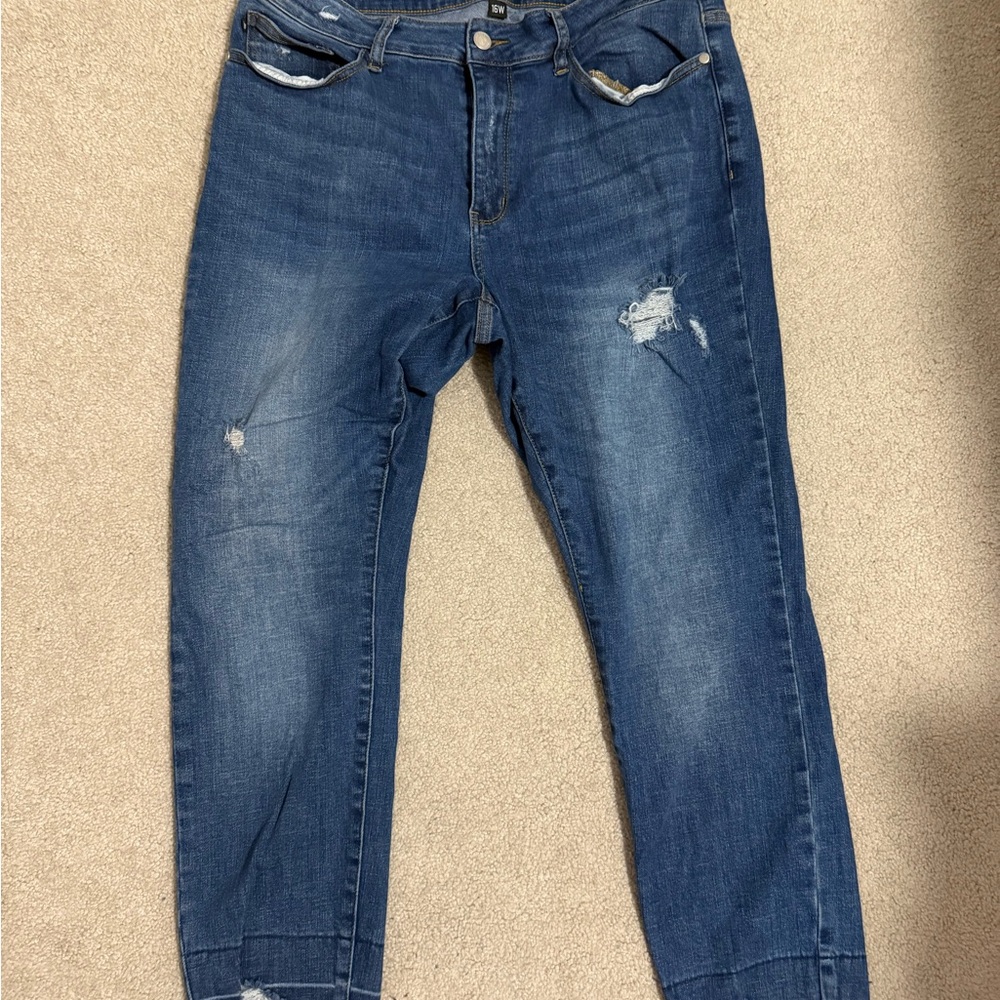 Judy Blue 16w Skinny Fit Denim Jeans